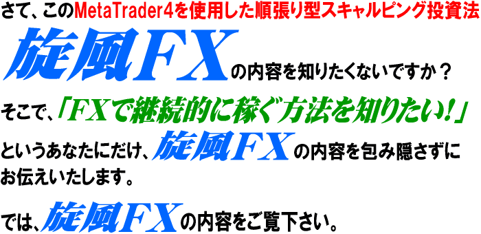 ����FX�̓��e